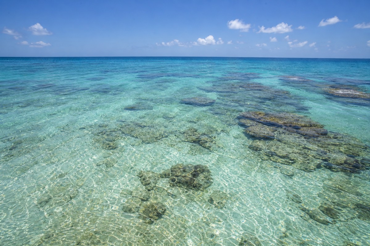 Flat calm turquoise water over the reef on a clear dry-season morning, ideal for snorkeling in Belize