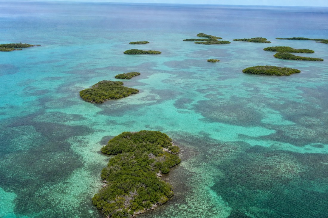 Clear shallow reef flats off Half Moon Caye, a favorite stop for Lighthouse Reef snorkeling at the atoll